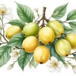 explorez les différentes variétés d'anones, leurs saveurs uniques et leurs caractéristiques essentielles pour mieux les connaître et les apprécier.