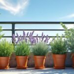 découvrez quelles plantes aromatiques sont idéales pour un balcon exposé au vent au 4e étage et comment les entretenir pour un jardin urbain réussi.